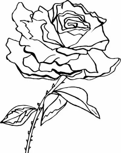 Flower Coloring Page 2
