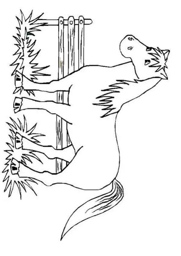 Horse Coloring Page 1