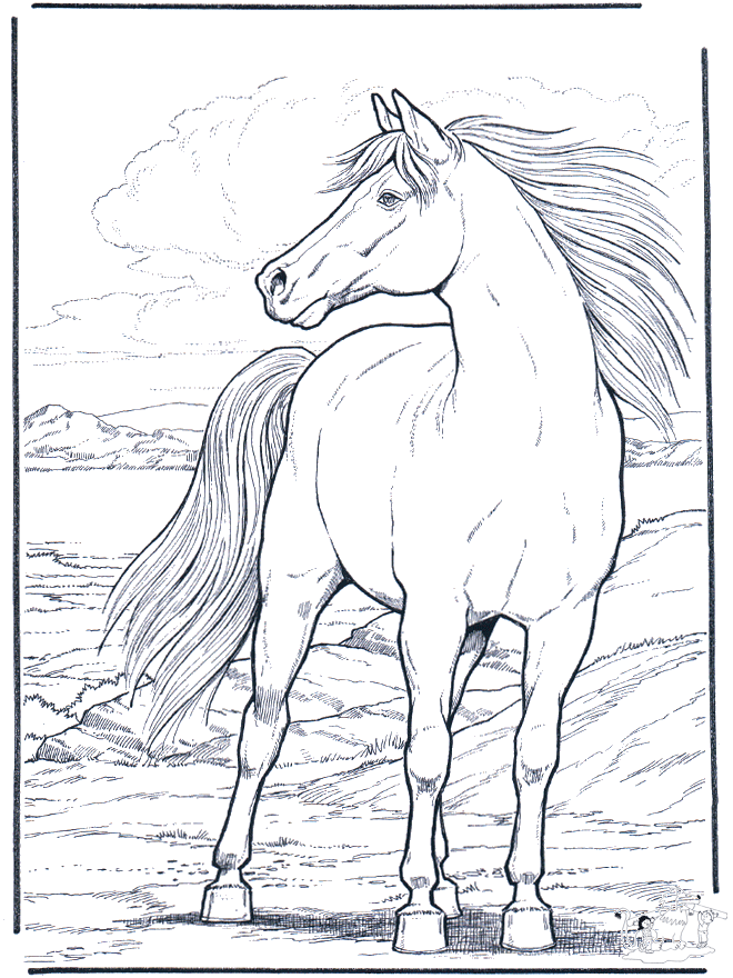 Horse Coloring Page 3