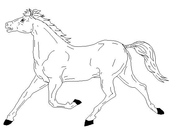 Horse Coloring Page 9