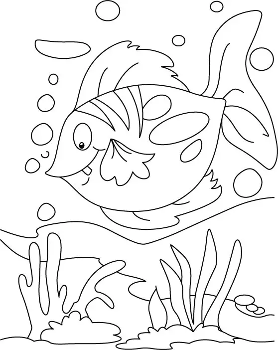 Fish Coloring Page 9