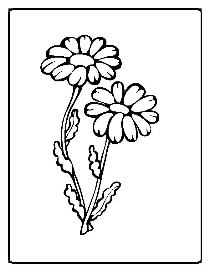 Flower Coloring Page 6